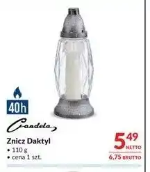 Makro Znicz Daktyl Candela oferta