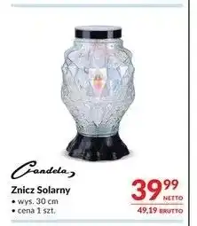 Makro Znicz solarny Candela oferta