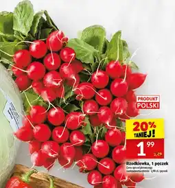 Twój Market Rzodkiewka oferta