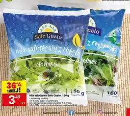 Twój Market Mix sałatkowy Sole Gusto z roszponką oferta