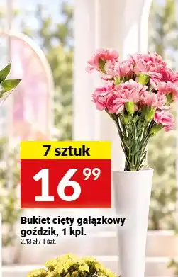 Twój Market Bukiet cięty gałązkowy goździk oferta