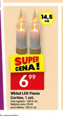 Twój Market Wkład LED Fiama Cortina oferta