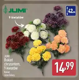 ALDI Bukiet chryzantem 9 kwiatów Jumi biały 42 cm oferta