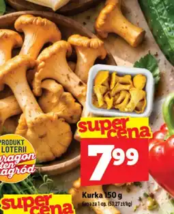 Topaz Kurka oferta