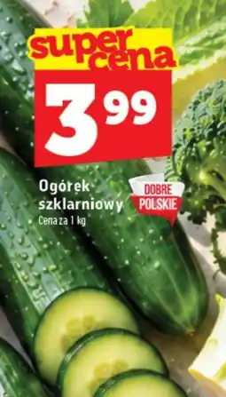 Topaz Ogórek Na dobre oferta