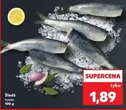 Kaufland Śledź tusza oferta