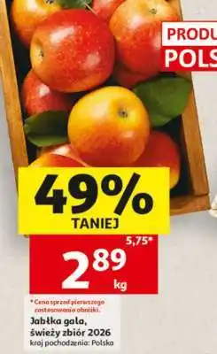 Auchan Jabłka gala, świeży zbiór 2026 oferta