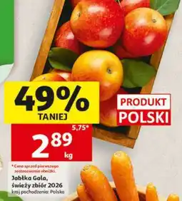 Auchan Jabłka gala oferta