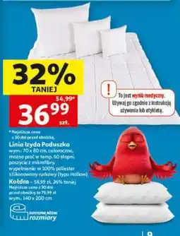 Auchan Linia Izyda Poduszka oferta