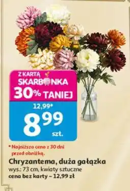 Auchan Chryzantema, duża gałązka oferta