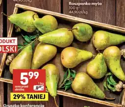 Delikatesy Centrum Gruszki konferencja oferta