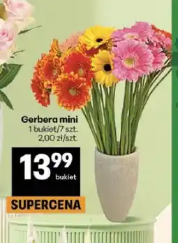 Delikatesy Centrum Gerbera mini oferta