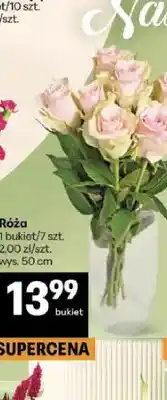Delikatesy Centrum Róża wys. 50 cm oferta