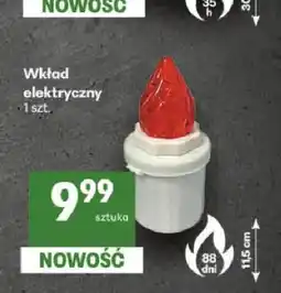 Delikatesy Centrum Wkład elektryczny oferta