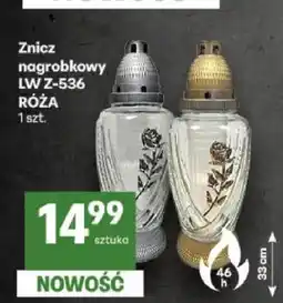 Delikatesy Centrum Znicz nagrobkowy Lw Z-536 Róża oferta