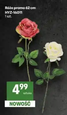 Delikatesy Centrum Róża promo 62 cm HYZ-16011 oferta