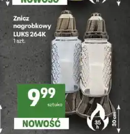 Delikatesy Centrum Znicz nagrobkowy Luks 264K oferta