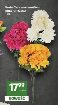 Delikatesy Centrum Bukiet 7 chryzantem 60 cm BUK7-CH Mega oferta