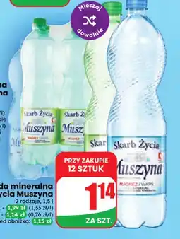 Dino Woda mineralna Skarb Życia Muszyna oferta