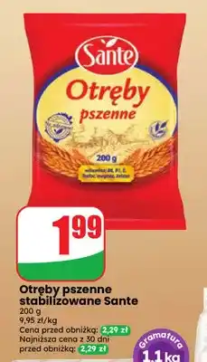 Dino Otręby pszenne stabilizowane Sante oferta