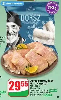 Dino Dorsz czarny filet Nord Capital oferta