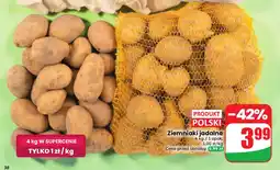 Dino Ziemniaki jadalne oferta