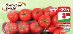 Dino Pomidory malinowe polskie oferta