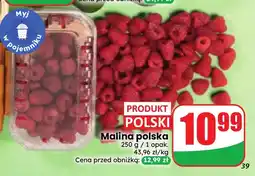 Dino Maliny polskie oferta