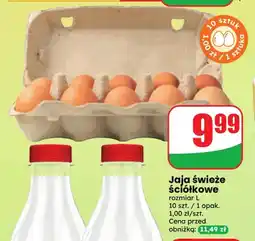 Dino Jajka kurze świeże ściółkowe rozmiar L oferta