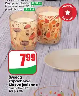 Dino Świeca zapachowa Sleeve jesienna oferta