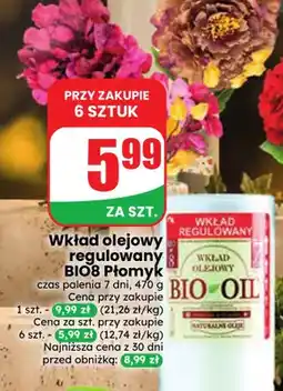 Dino Wkład olejowy regulowany BIO8 Płomyk oferta