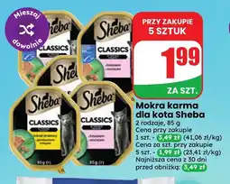 Dino Mokra karma dla kota Sheba oferta