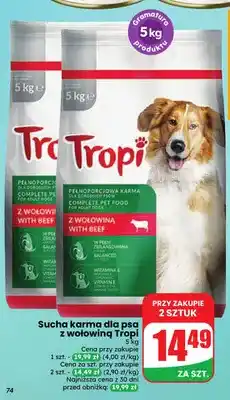 Dino Sucha karma dla psa z wołowiną Tropi oferta