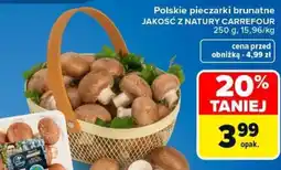 Carrefour Polskie pieczarki brunatne oferta