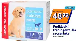Action Podkładki treningowe dla szczeniaka bamboo 60 x 60 cm oferta