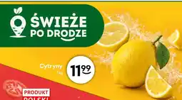 Żabka Cytryny oferta
