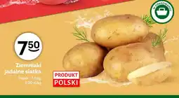 Żabka Ziemniaki jadalne siatka oferta