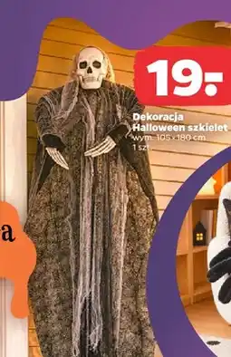 Netto Dekoracja Halloween szkielet 105x180 cm oferta