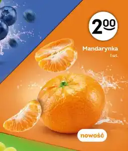 Żabka Mandarynka oferta