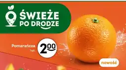 Żabka Pomarańcza oferta