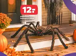 Netto Dekoracja Halloween pająk 73x17 cm oferta