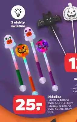 Netto Różdżka dynia oferta