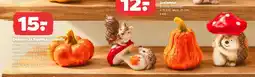 Netto Dekoracja figurka jesienna dynia oferta