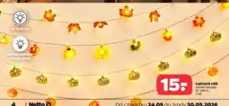Netto Łańcuch LED 1,65 m oferta