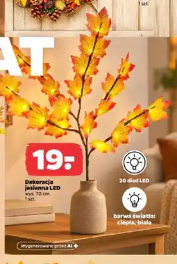 Netto Dekoracja jesienna LED 70 cm oferta