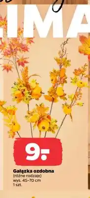 Netto Gałązka ozdobna 45-70 cm oferta