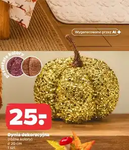 Netto Dynia dekoracyjna ø20 cm oferta