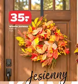 Netto Wieniec jesienny 48 cm oferta