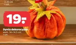 Netto Dynia dekoracyjna 14x14,5 cm oferta