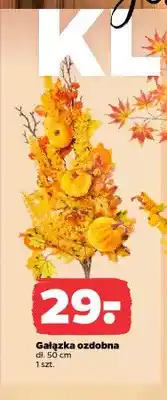 Netto Gałązka ozdobna 50 cm oferta
